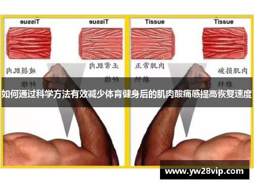如何通过科学方法有效减少体育健身后的肌肉酸痛感提高恢复速度